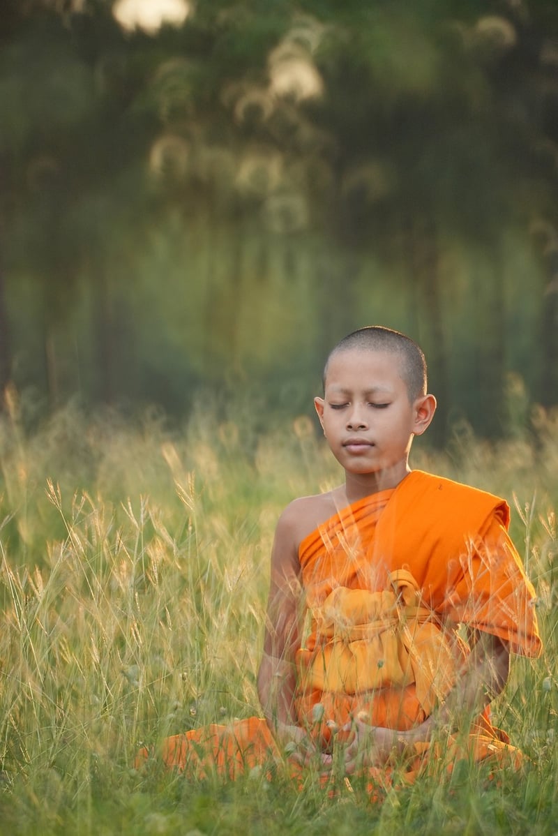Tree Pose Image